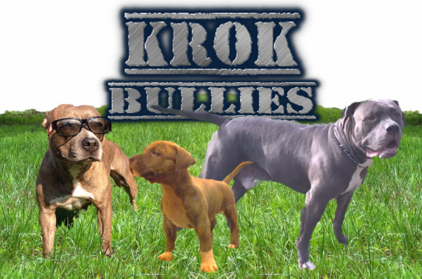 K'ROK Bullies